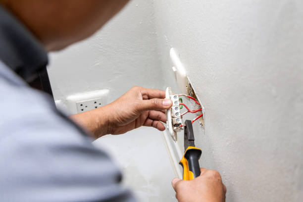 Best Electric Panel Repair  in St Ignace, MI